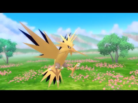 Rencontrez les Pokémon légendaires du Parc Rosa Rugosa !