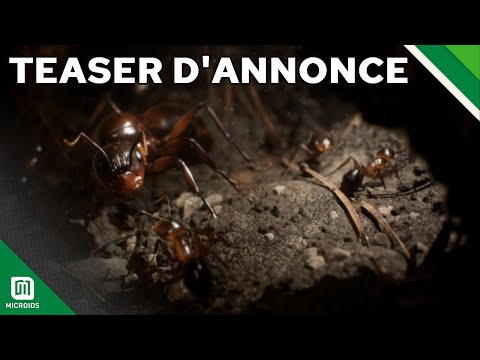 Les Fourmis – Teaser d’annonce – Tower Five Studio & Microids