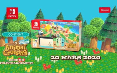 Console Nintendo Switch Animal Crossing New Horizons *MAJ*