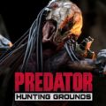 Predator Hunting Grounds